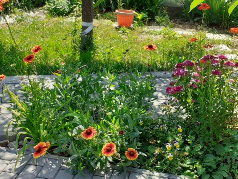  - Gradina 2022