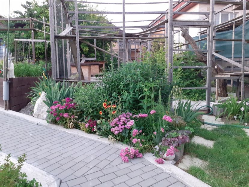  - Gradina 2022