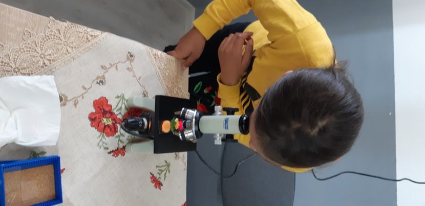 Cls 5a - 2021 -2022 activitati Sc Ungra