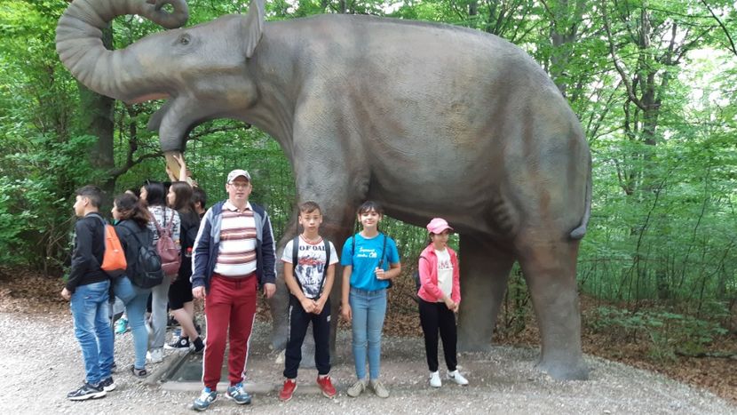 20220609_104506(0) - 2021-22 multe poze din tot anul școlar