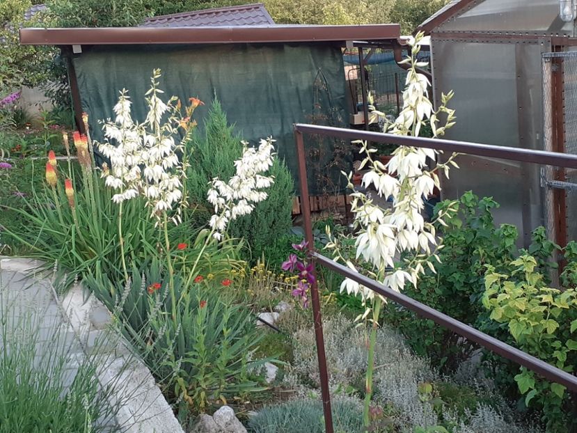  - Gradina 2022