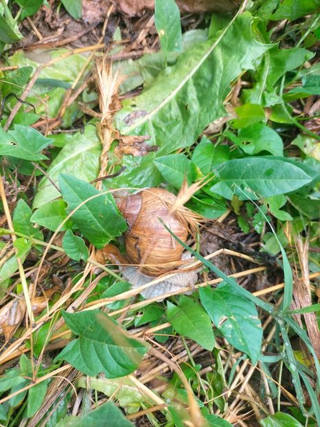 IMG20220623102856 - Iunie 2022 1