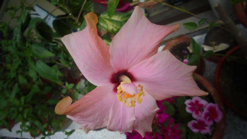 Un zambet si-o-mbratisare,cu drag! - 2022