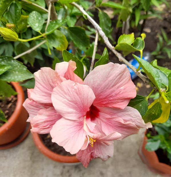  - 111 Bucurii pentru suflet 2022