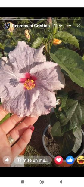 Screenshot_2022-04-27-17-44-08-817_com.facebook.katana - Cato