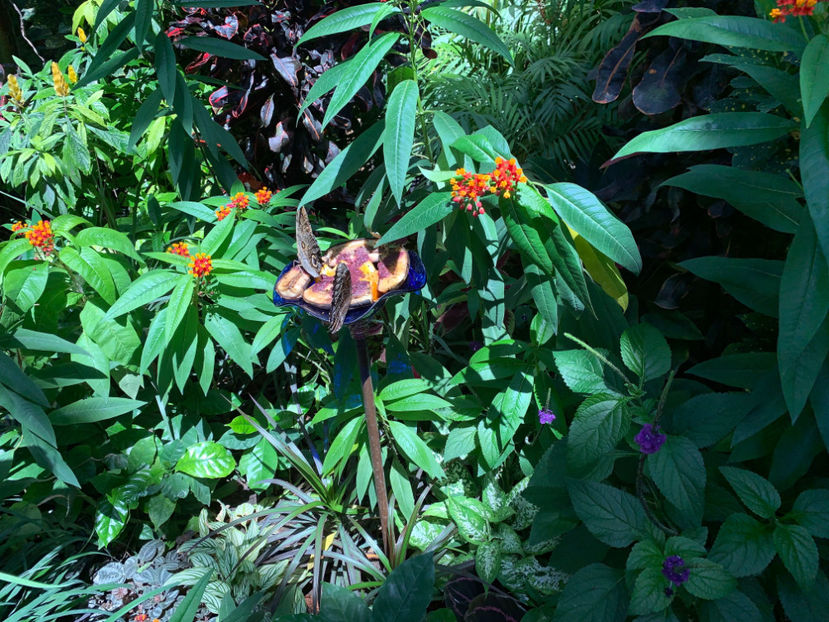  - Calgary Conservatory