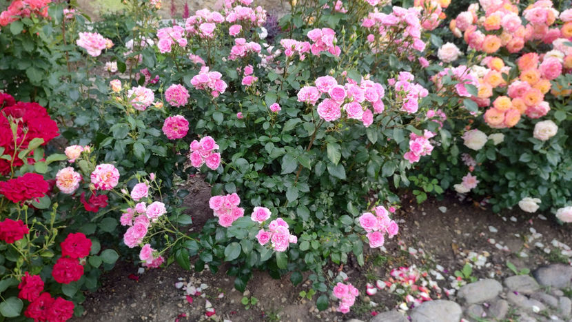 14 06 2022 - I am grateful