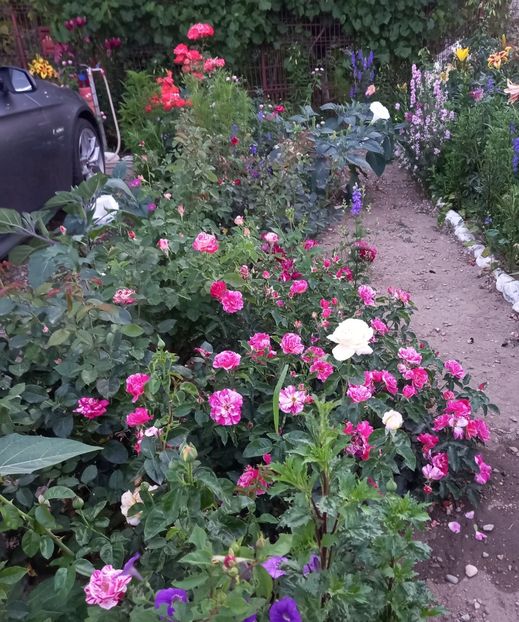  - Sub tutela soarelui