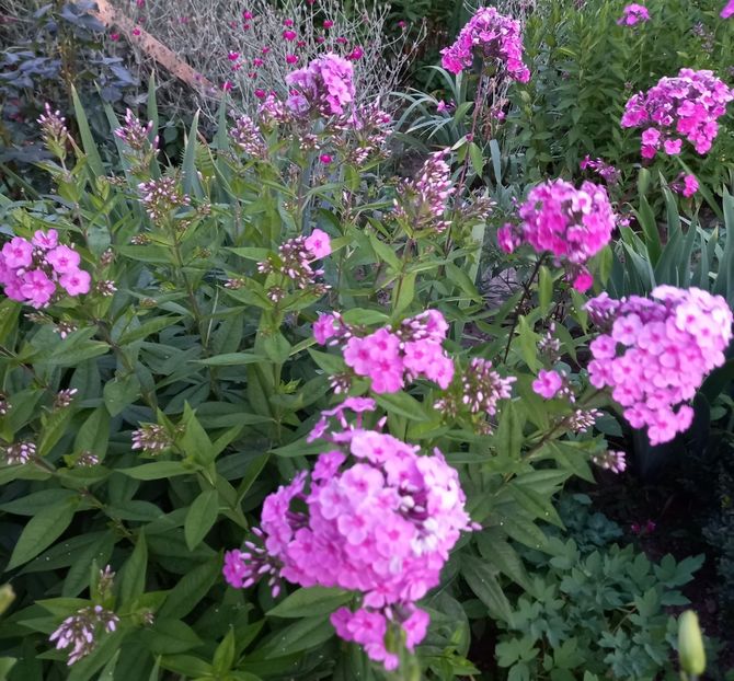  - Sub tutela soarelui