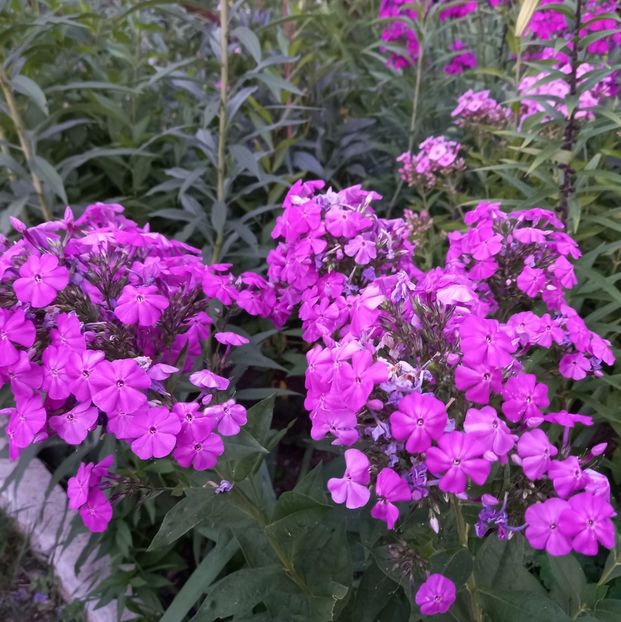  - Sub tutela soarelui