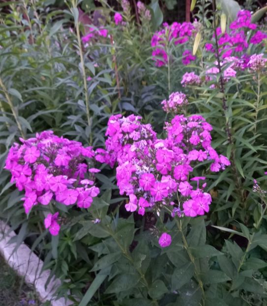  - Sub tutela soarelui