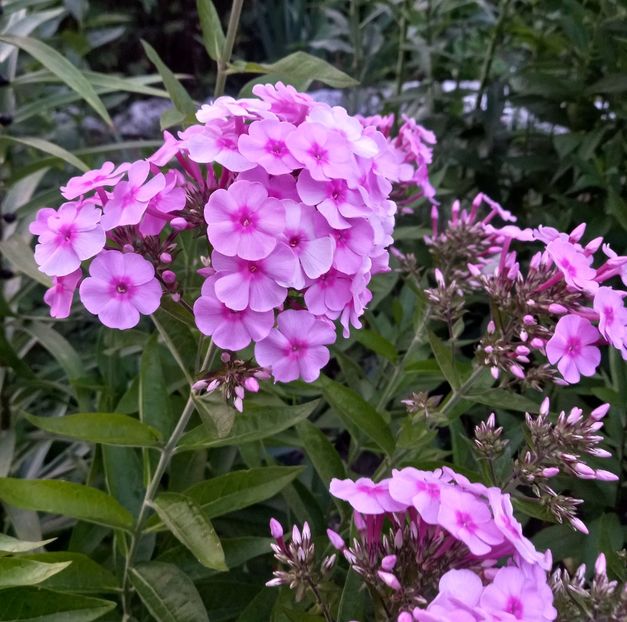  - Sub tutela soarelui