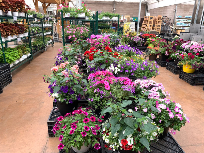  - Greengate Garden Centres