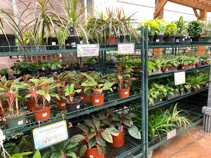  - Greengate Garden Centres