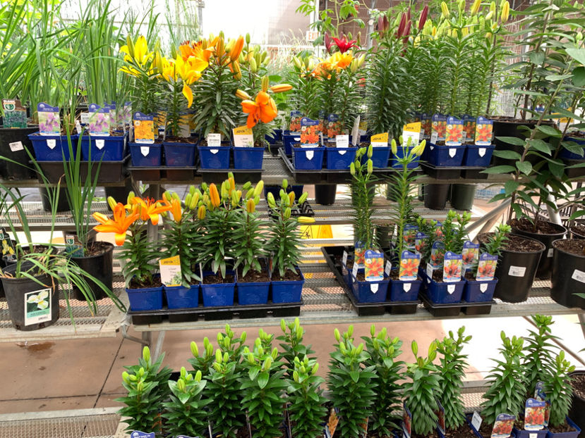  - Greengate Garden Centres