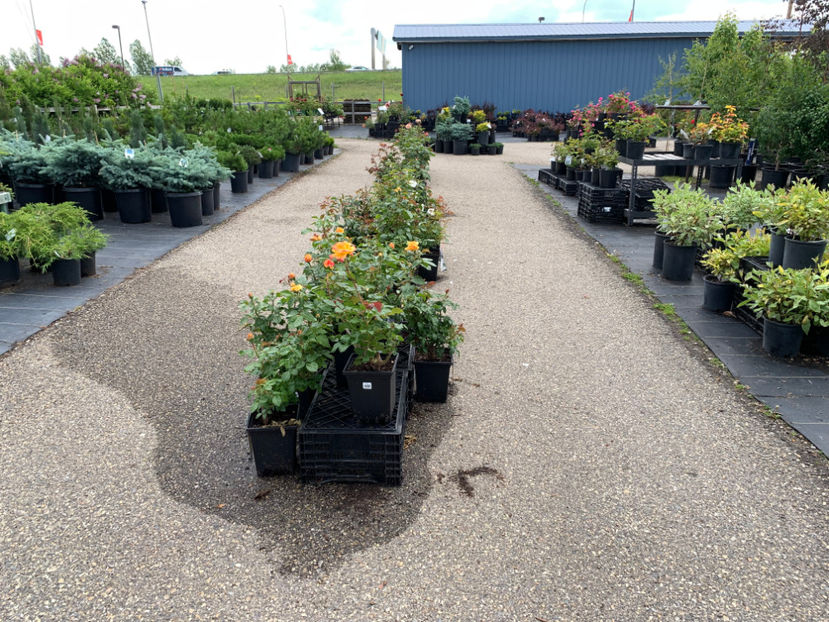  - Greengate Garden Centres