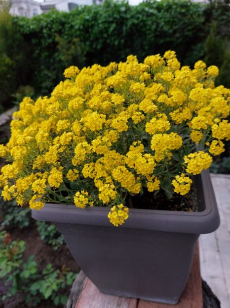 IMG-20220701-WA0212 - 2022