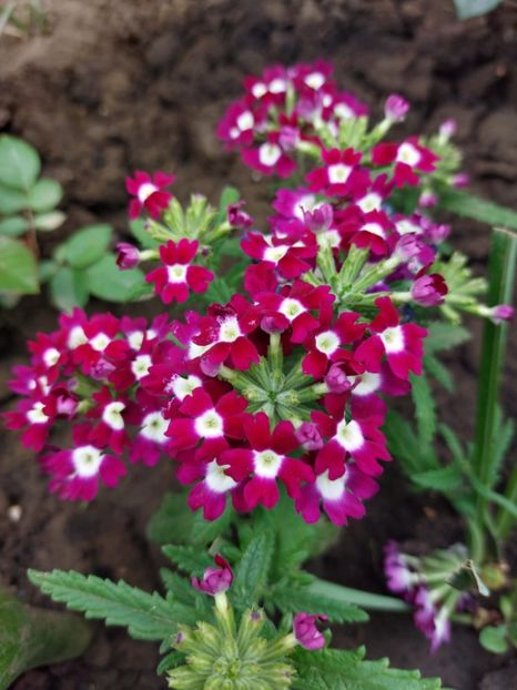IMG-20220701-WA0207 - 2022
