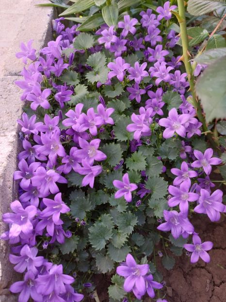 IMG-20220701-WA0193 - 2022