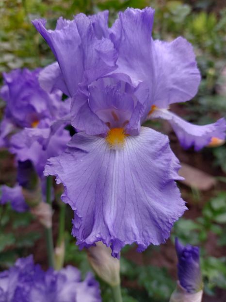 IMG-20220701-WA0178 - 2022