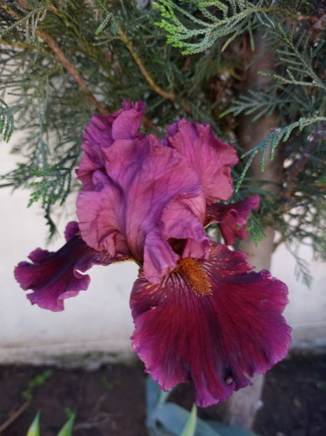 IMG-20220701-WA0165 - 2022