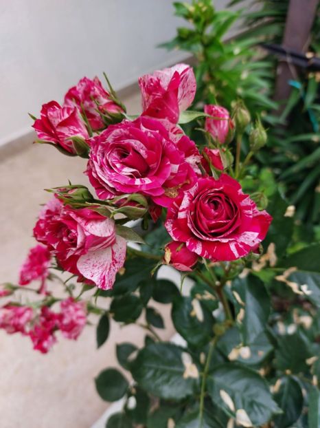 IMG-20220701-WA0009 - 2022