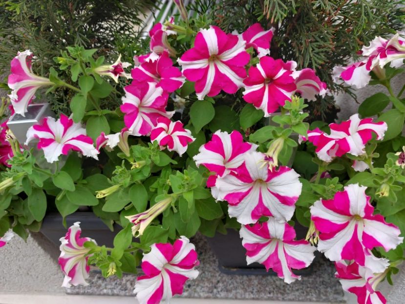 IMG-20220701-WA0010 - 2022