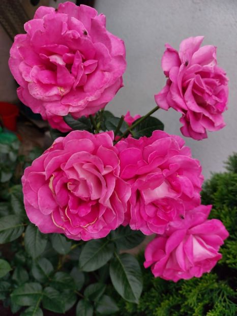 IMG-20220701-WA0014 - 2022