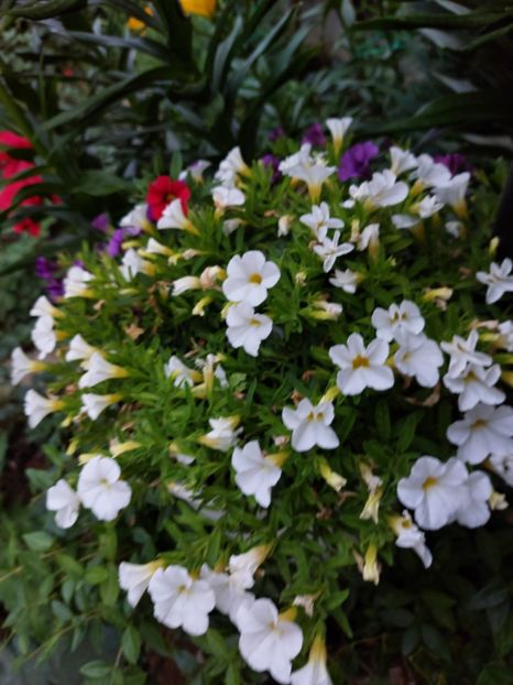 IMG-20220701-WA0075 - 2022