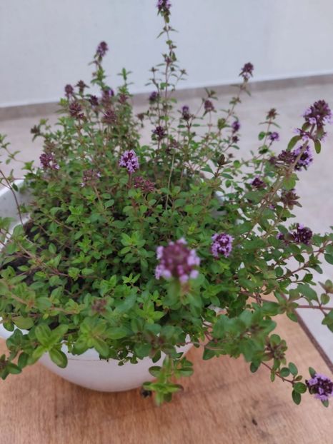 IMG-20220701-WA0081 - 2022