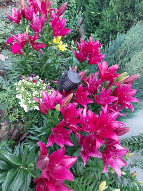 IMG-20220701-WA0098 - 2022