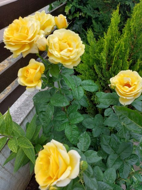 IMG-20220701-WA0089 - 2022