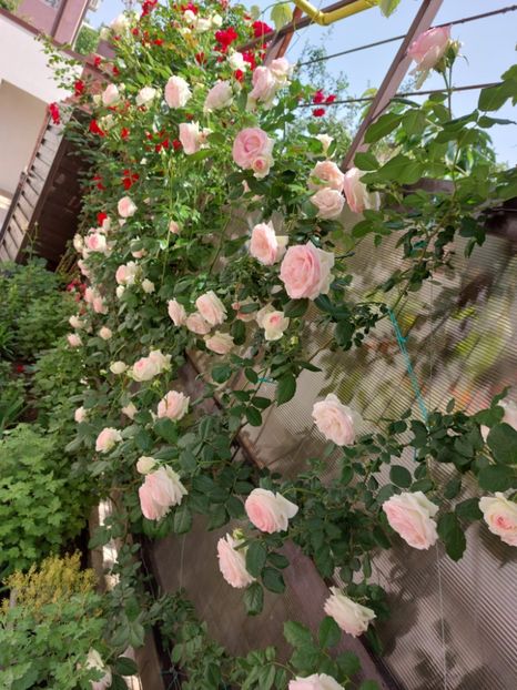 IMG-20220701-WA0149 - 2022