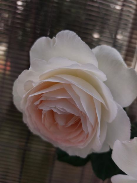 IMG-20220701-WA0173 - 2022