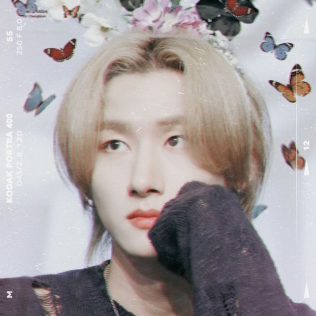 ぇ ꜜ 215thᵈ̣ᵃ̣ʸ̣ ㅎ ⊹ 03.07.2022 ₊ ❏. · ♡ - Vault of Heaven