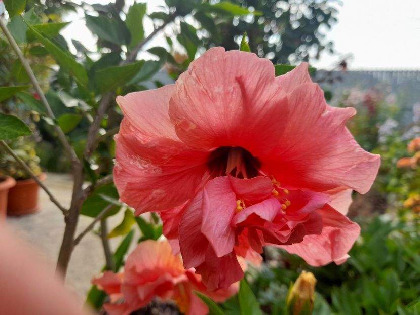  - 111 Bucurii pentru suflet 2022