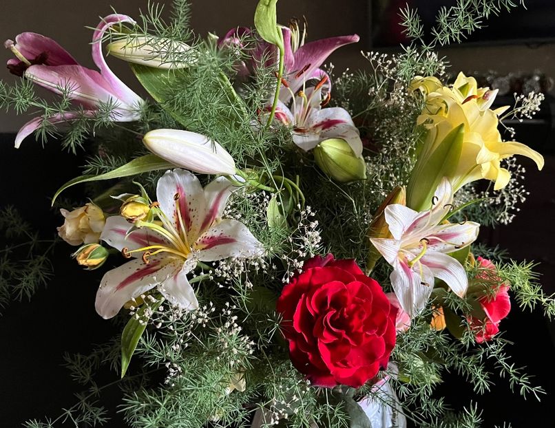 F5BCC726-4CAA-47E3-A7FD-7EBC922B5B12 - Aranjamente licheni și flori