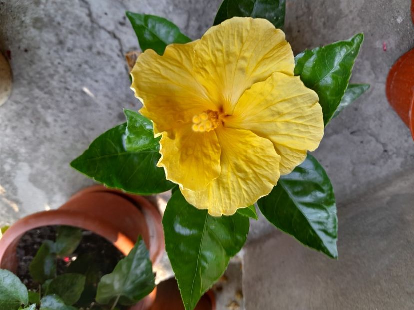  - 111 Bucurii pentru suflet 2022