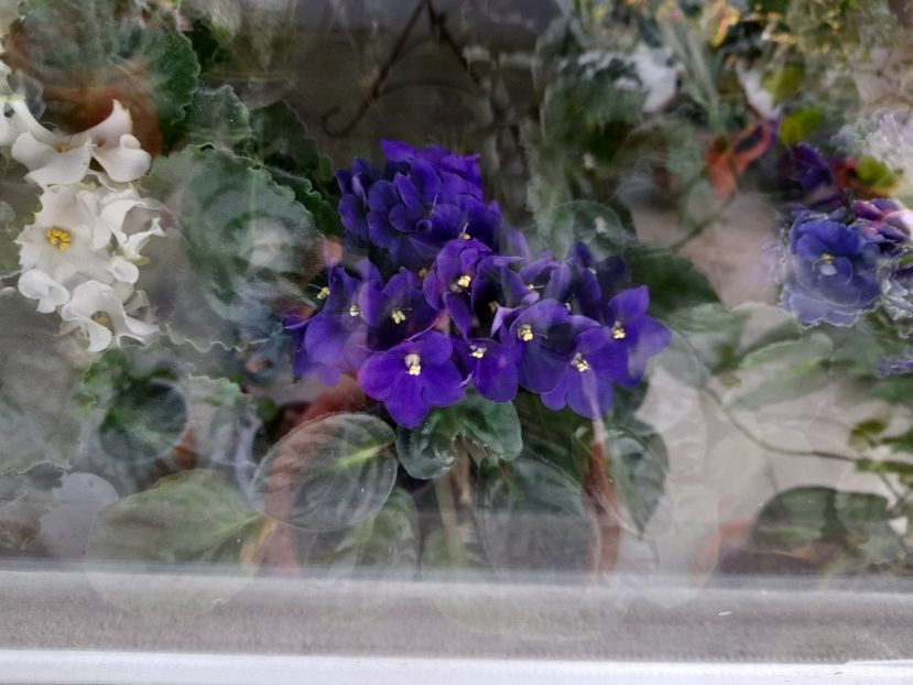  - 111 Bucurii pentru suflet 2022