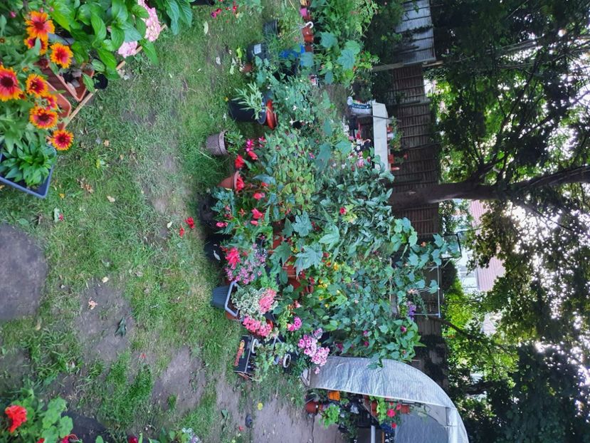  - - Gradina 2022