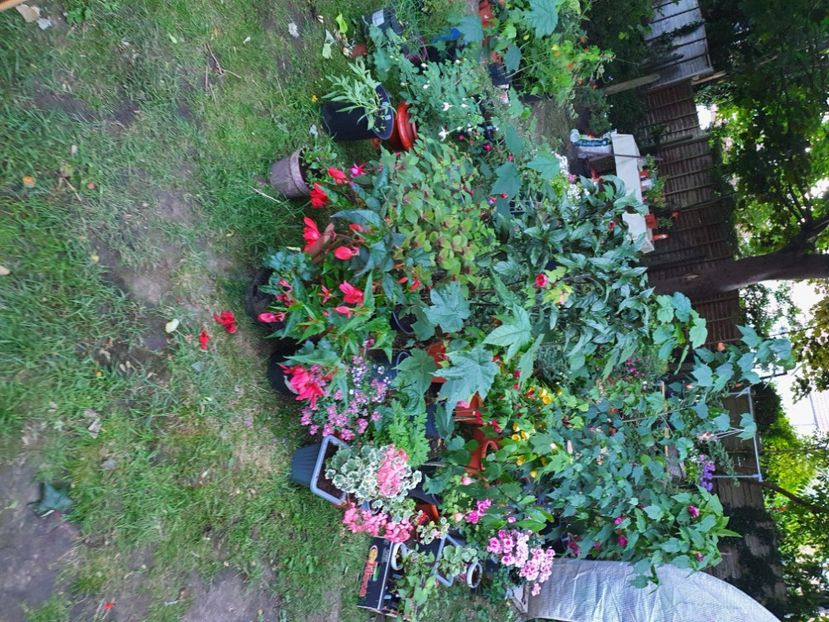  - 0 Gradina 2022