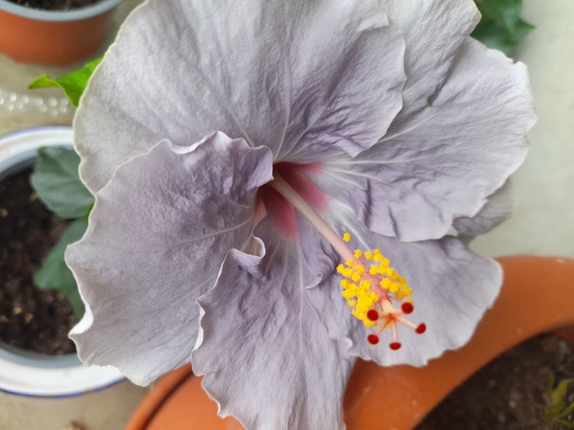  - 111 Bucurii pentru suflet 2022