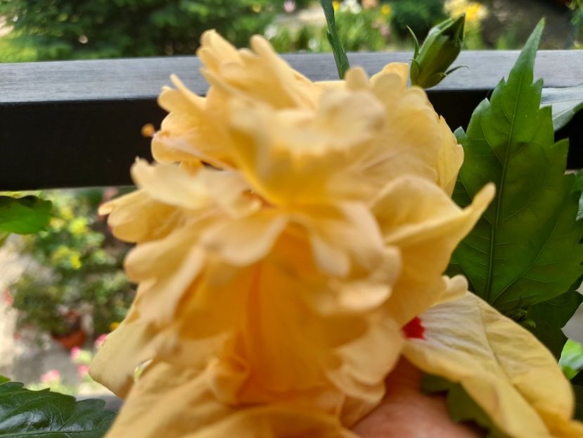  - 111 Bucurii pentru suflet 2022