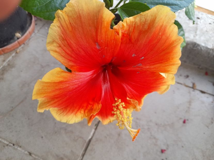  - 111 Bucurii pentru suflet 2022