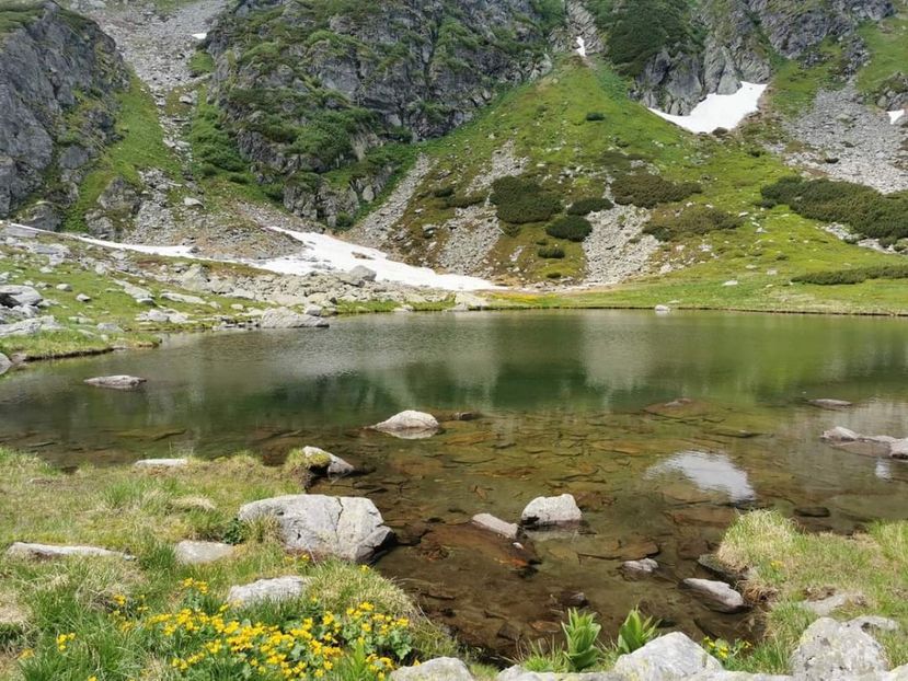  - Munții Rodnei - iunie 2022