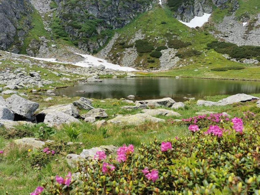  - Munții Rodnei - iunie 2022