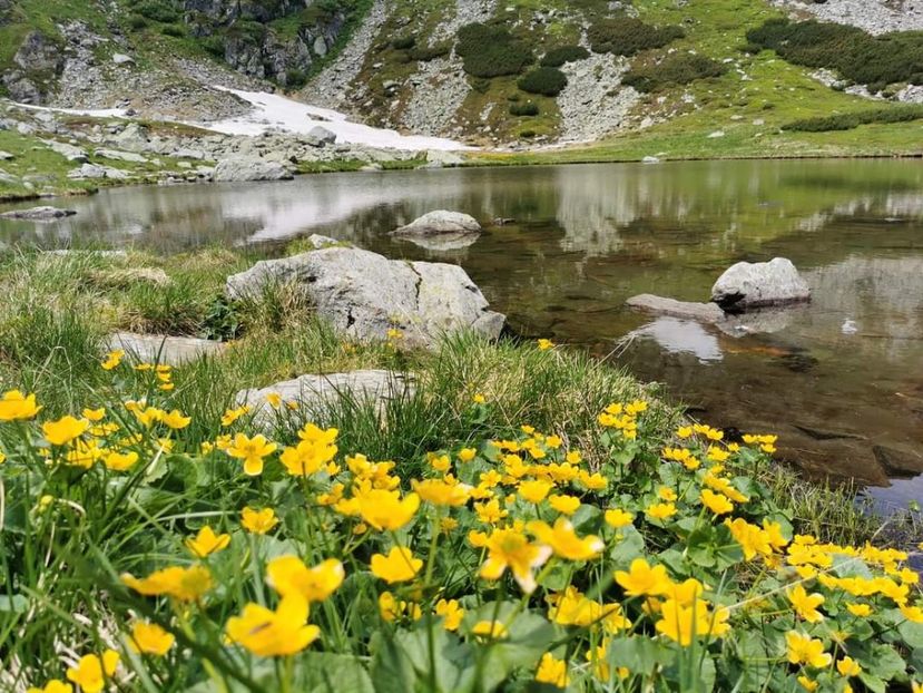  - Munții Rodnei - iunie 2022