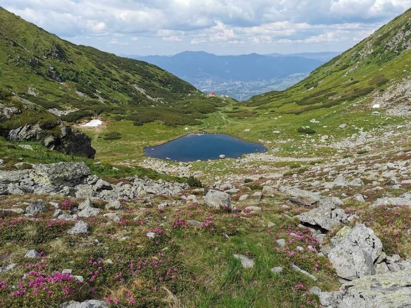  - Munții Rodnei - iunie 2022