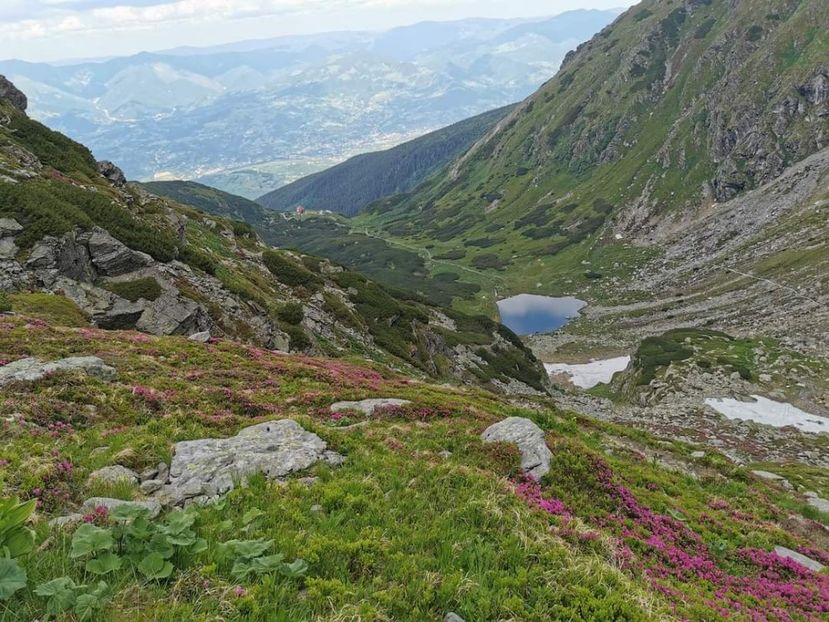  - Munții Rodnei - iunie 2022