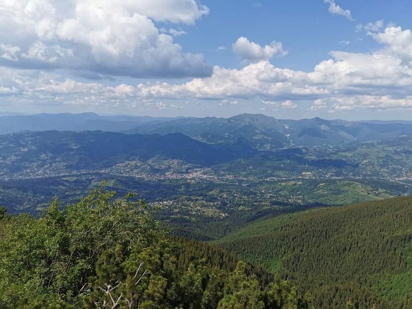  - Munții Rodnei - iunie 2022